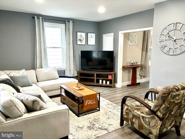 living room featuring wood-type flooring