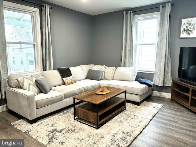 living room with wood-type flooring