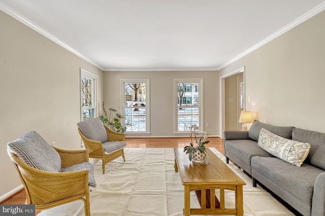 living room featuring ornamental molding and light wood-type flooring