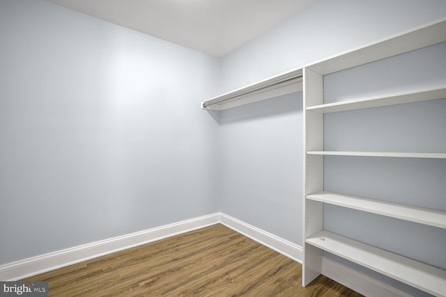 spacious closet featuring dark hardwood / wood-style flooring