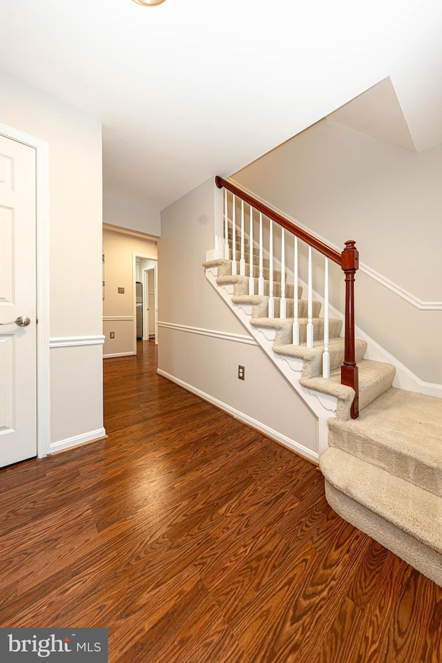 staircase with hardwood / wood-style flooring