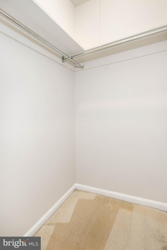 spacious closet featuring carpet floors