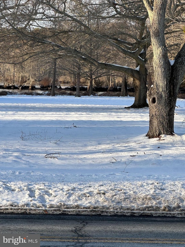 view of yard layered in snow