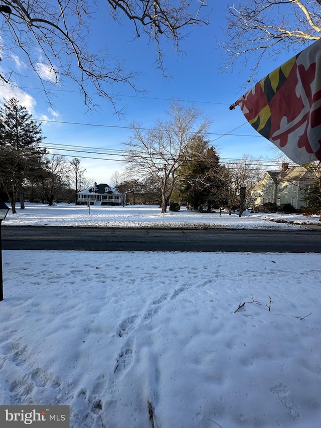 view of snowy yard