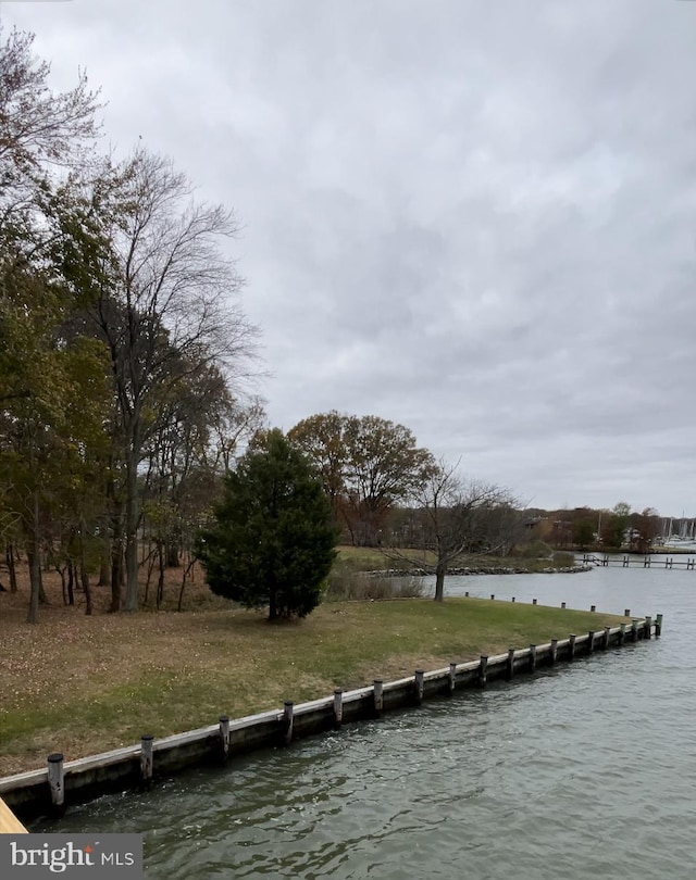 dock area featuring a yard and a water view