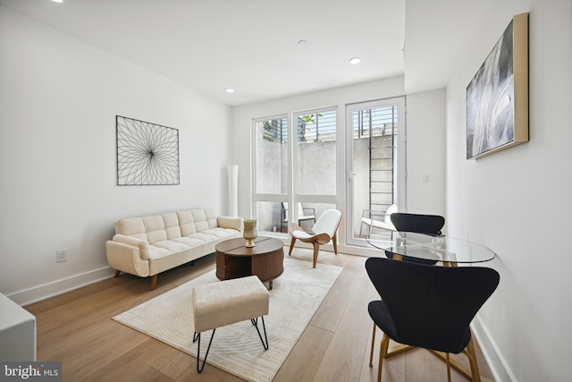 living room with light hardwood / wood-style flooring