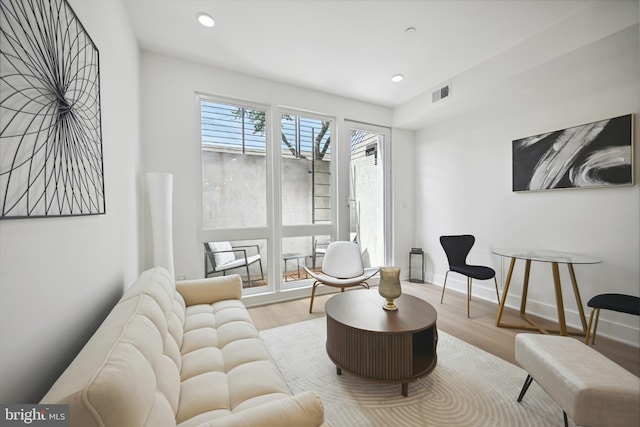 living room featuring light wood-type flooring