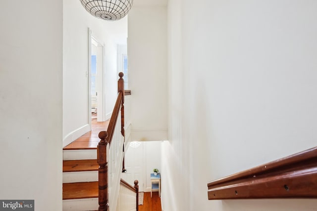 stairway with hardwood / wood-style floors