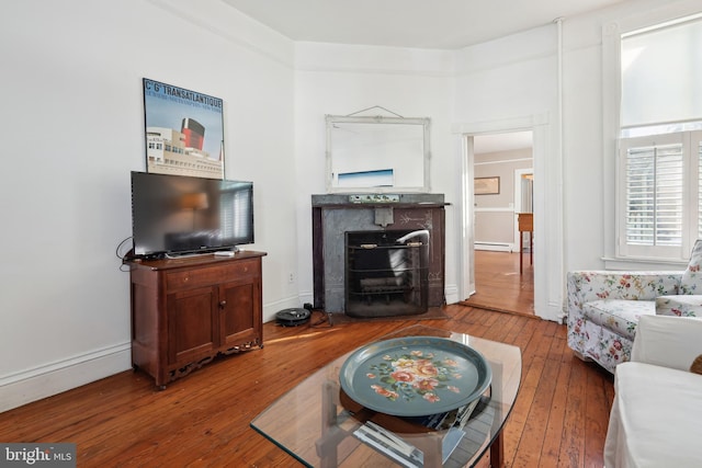 living room featuring hardwood / wood-style floors