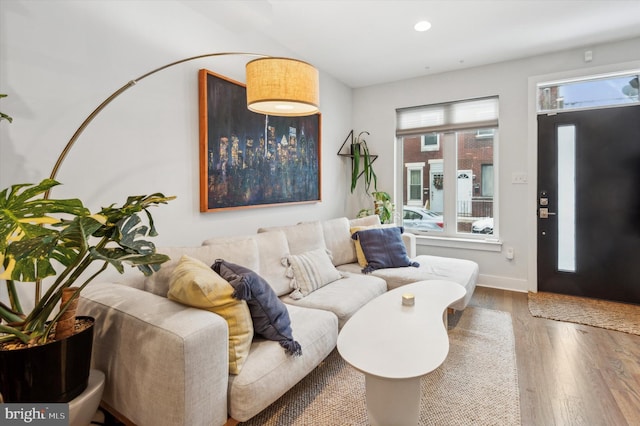 living room with hardwood / wood-style flooring