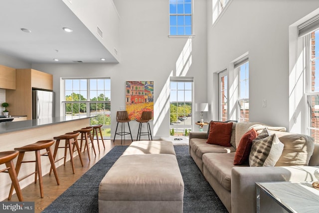 living room with a high ceiling and light hardwood / wood-style flooring