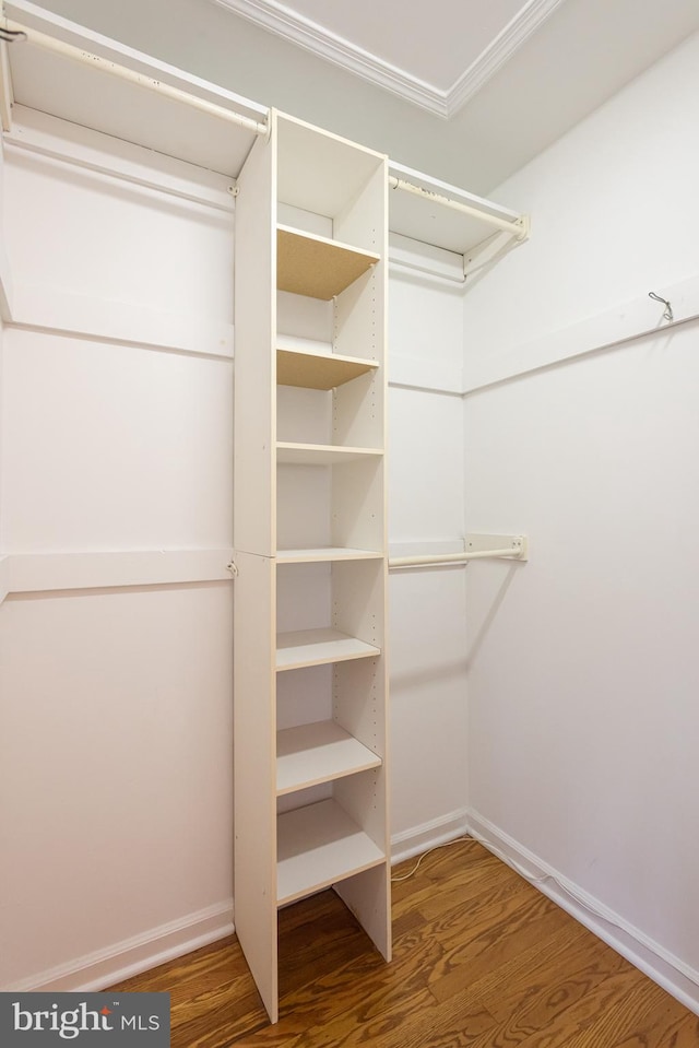 walk in closet featuring wood-type flooring