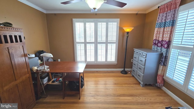 office featuring ceiling fan, ornamental molding, and light hardwood / wood-style flooring