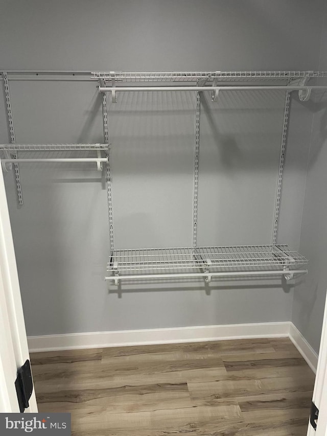 walk in closet featuring hardwood / wood-style flooring