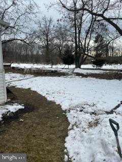 view of yard covered in snow