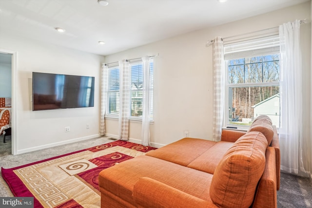 living room with carpet floors