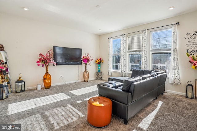 living room featuring carpet flooring