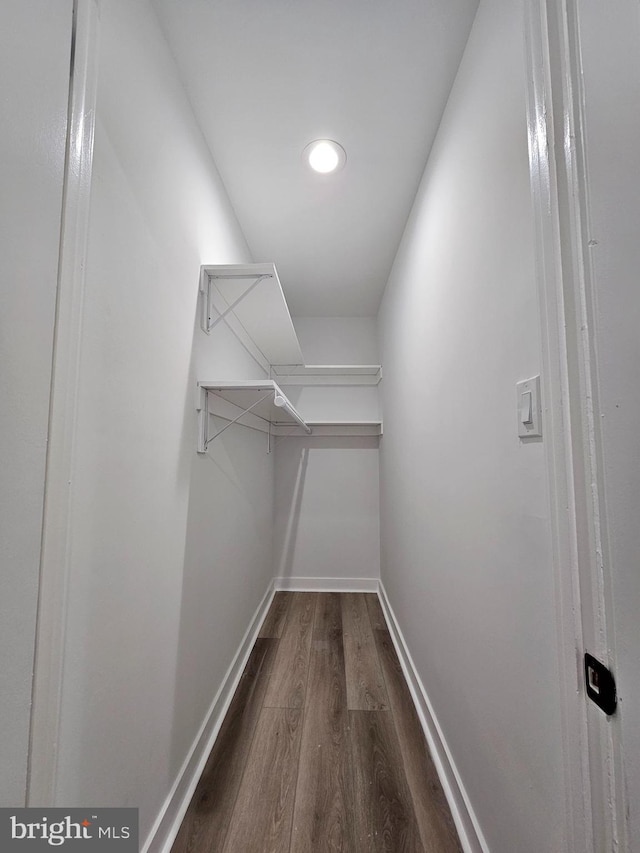 walk in closet featuring hardwood / wood-style flooring