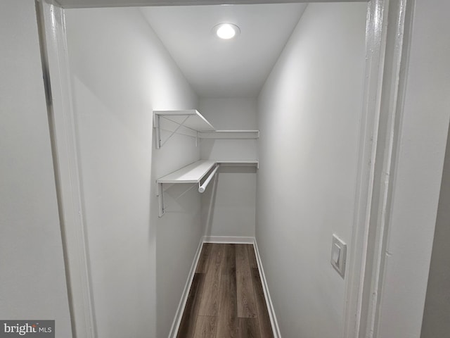 spacious closet with hardwood / wood-style floors