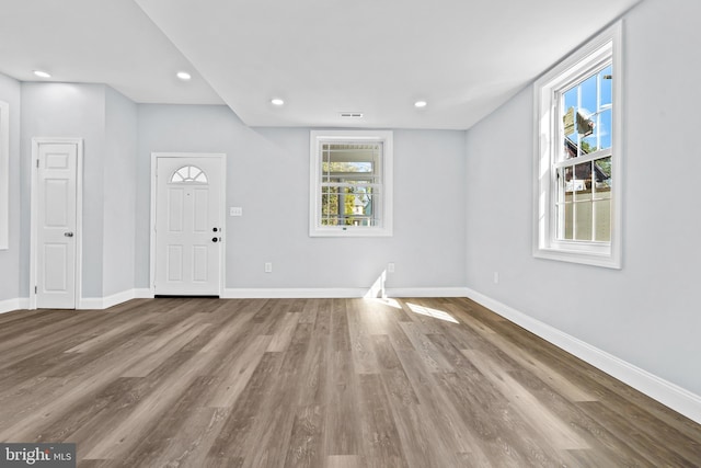 foyer entrance with hardwood / wood-style flooring and a healthy amount of sunlight