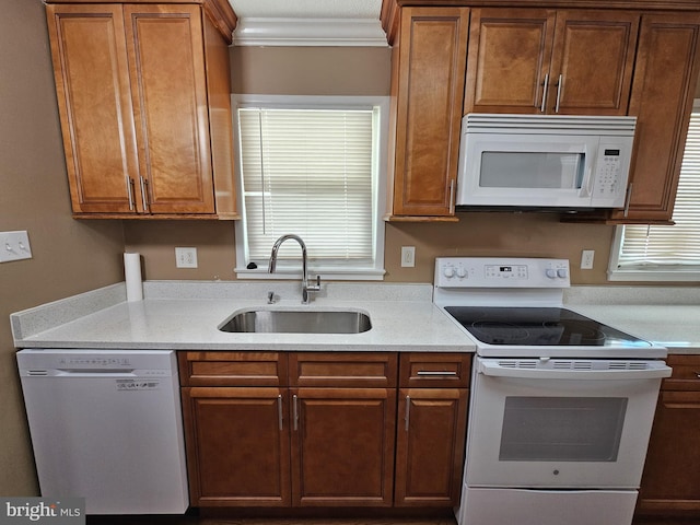 kitchen featuring crown molding, white appliances, sink, and a wealth of natural light