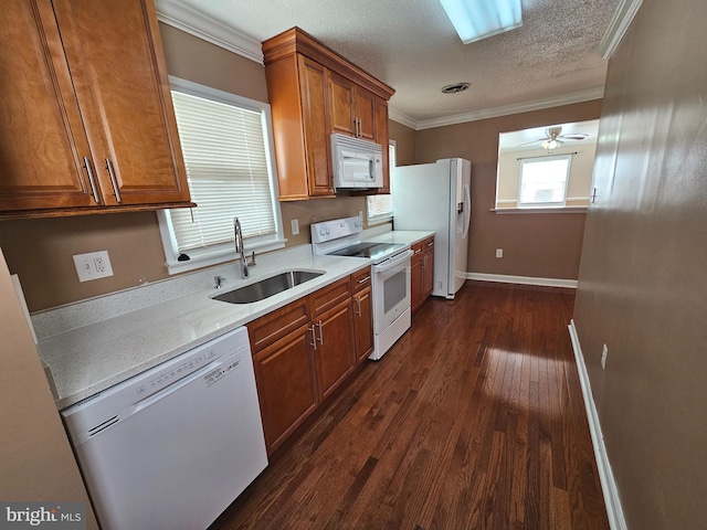 kitchen featuring ornamental molding, white appliances, dark wood-type flooring, and sink