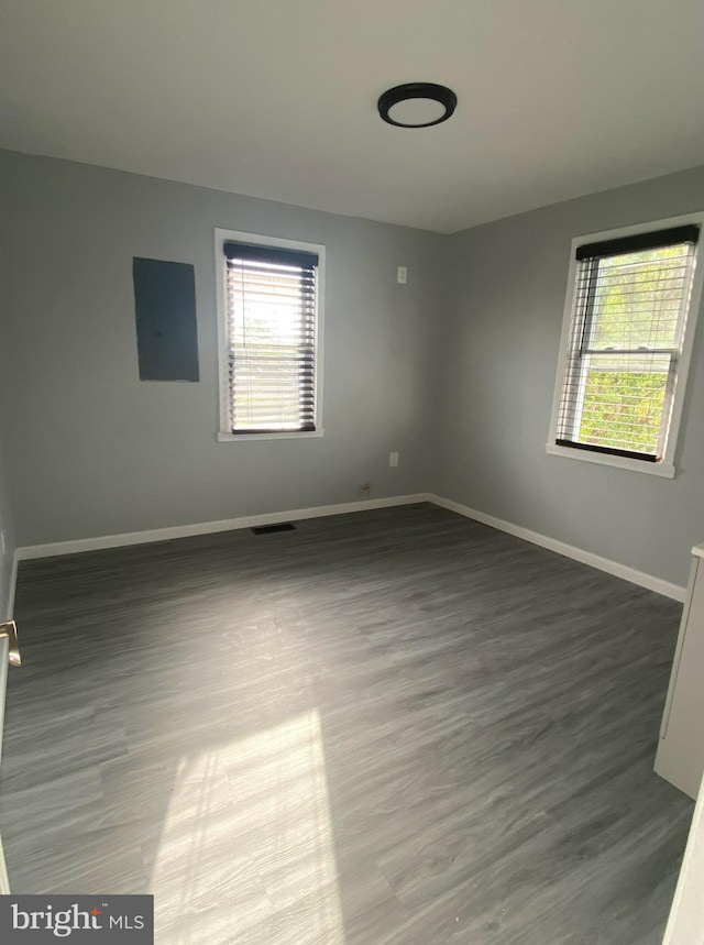 spare room with electric panel, a healthy amount of sunlight, and dark hardwood / wood-style floors