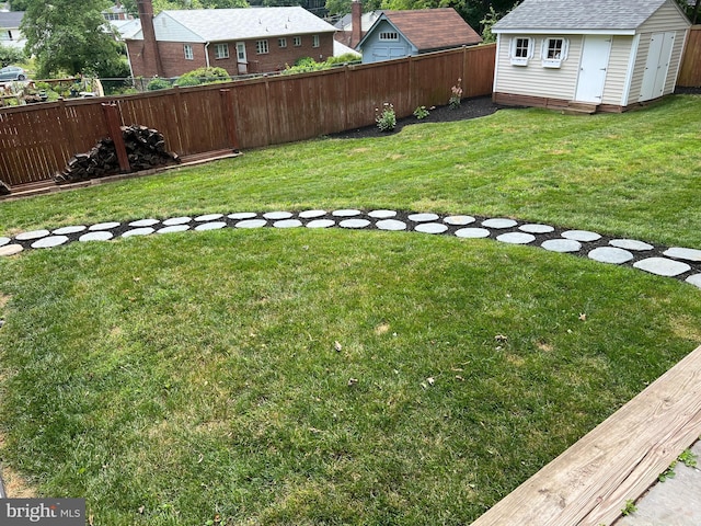 view of yard with a storage shed