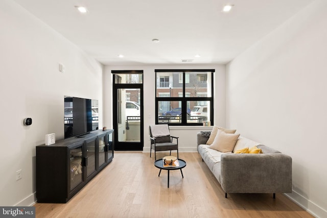 living room with light wood-type flooring