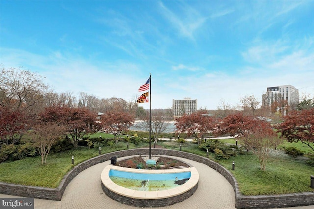 view of home's community with a lawn