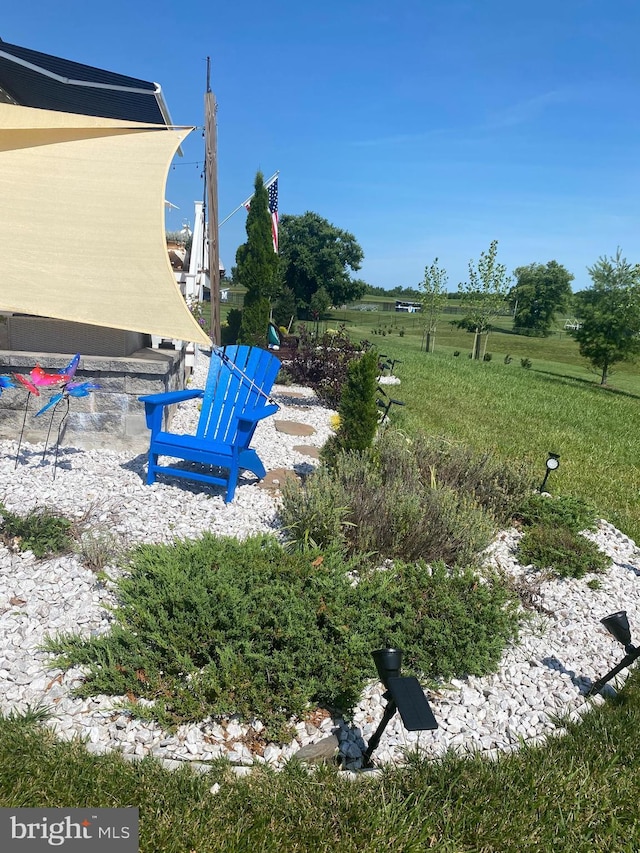 view of yard featuring a patio