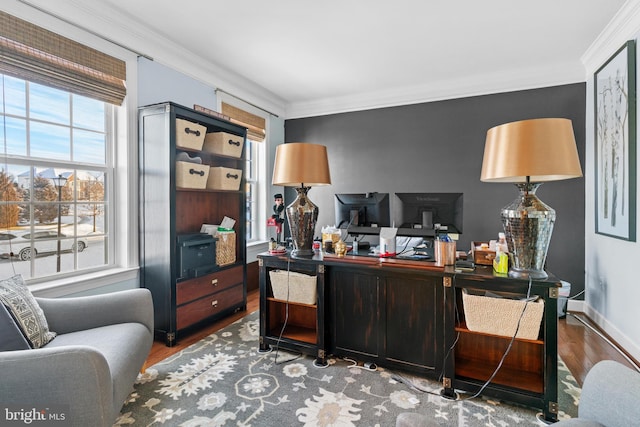 home office with crown molding, a healthy amount of sunlight, and wood-type flooring