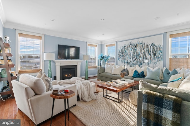 living room with hardwood / wood-style floors and ornamental molding