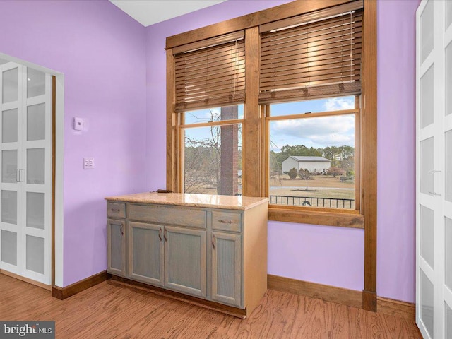 kitchen featuring light wood-type flooring