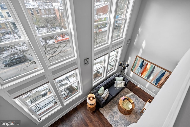 living room with dark hardwood / wood-style floors