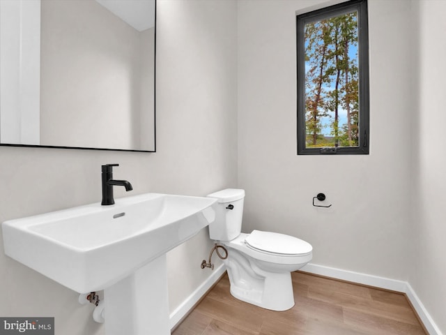 bathroom with wood-type flooring, toilet, and sink