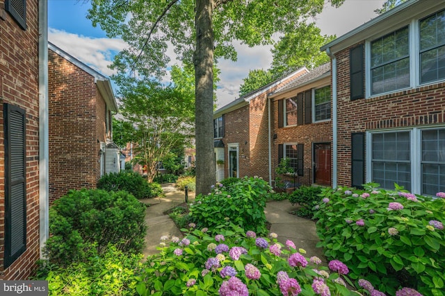 2518 S Walter Reed Dr Unit B, Arlington, VA 22206 - view of home's community