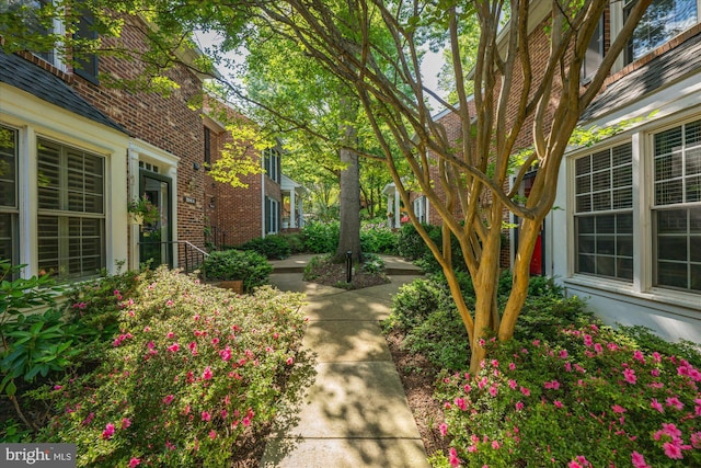 2518 S Walter Reed Dr Unit B, Arlington, VA 22206 - view of yard