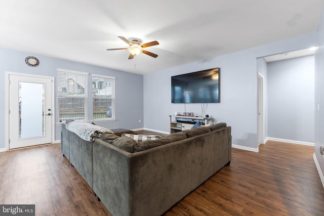 living room featuring ceiling fan and dark hardwood / wood-style floors