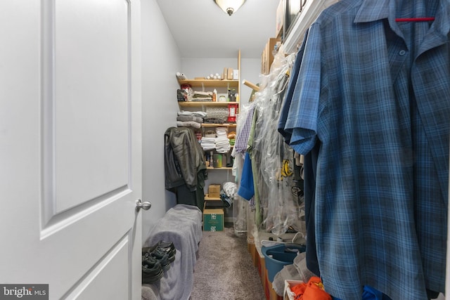 spacious closet featuring carpet flooring