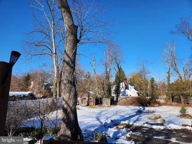 yard layered in snow with a storage unit