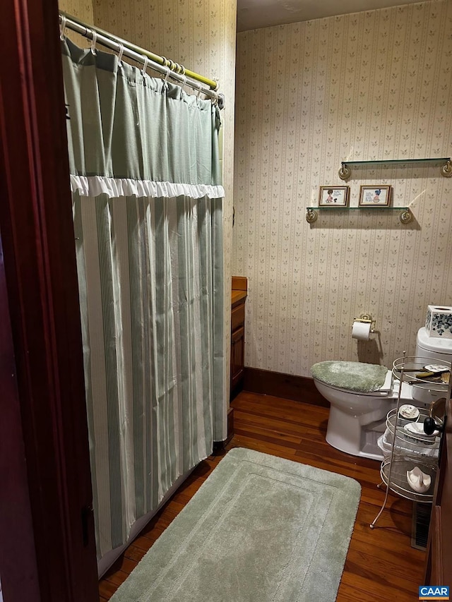 bathroom featuring toilet, vanity, and hardwood / wood-style flooring