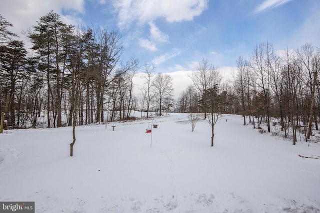 view of yard layered in snow