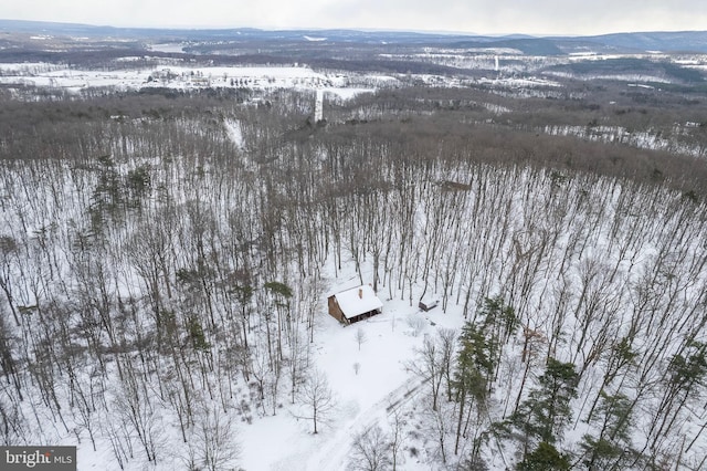 view of snowy aerial view