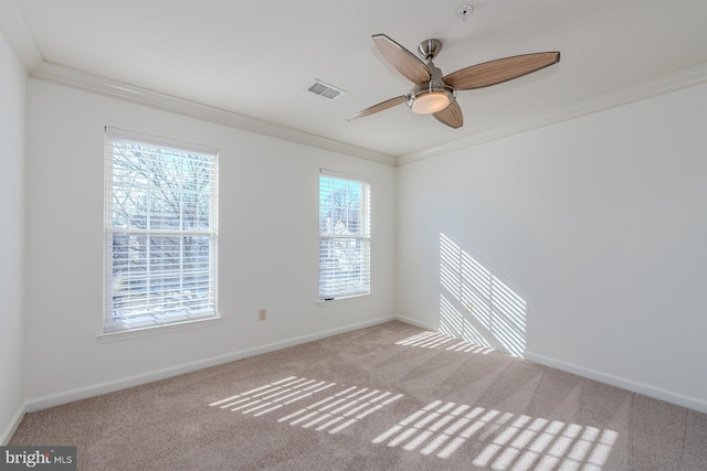 unfurnished room featuring ceiling fan, ornamental molding, and light carpet