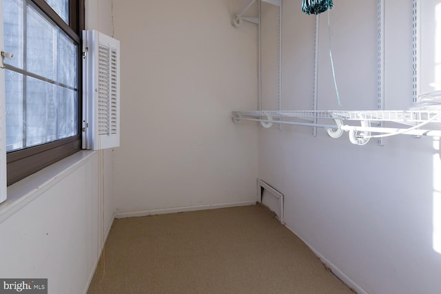 spacious closet featuring light carpet