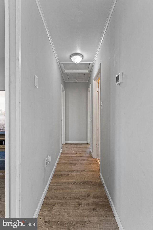 corridor with hardwood / wood-style flooring and crown molding