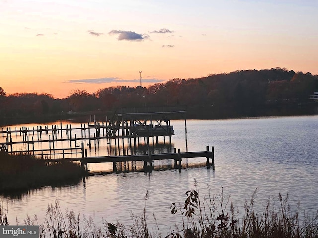 dock area with a water view