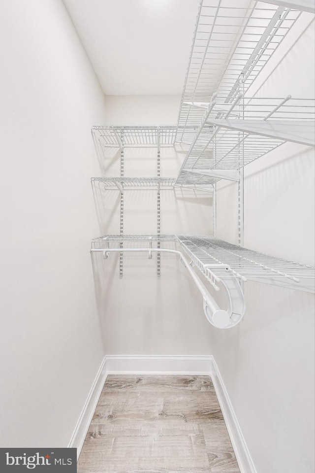 spacious closet with wood-type flooring