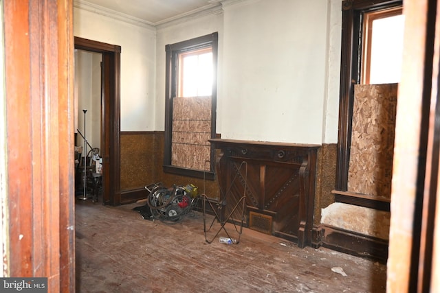 miscellaneous room with ornamental molding